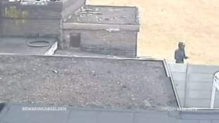 Eindhoven - Gezocht - Liquidaties en poging daartoe in regio Eindhoven onder de loep