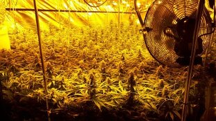 Vijf verdachten aangehouden voor drugs en wapenbezit