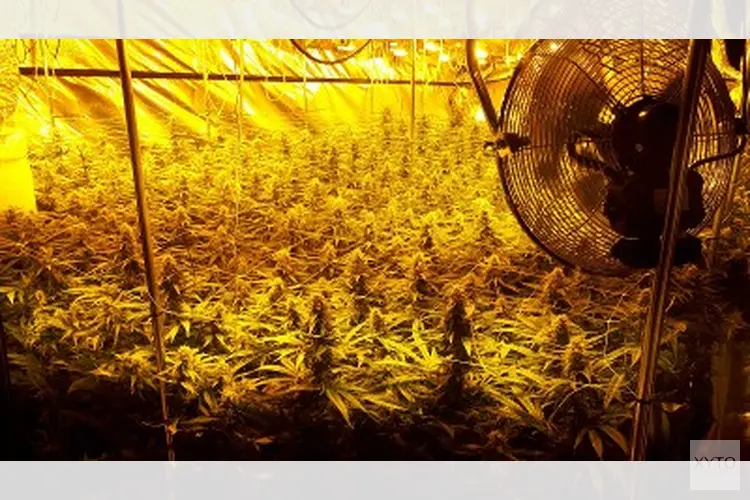 Vijf verdachten aangehouden voor drugs en wapenbezit