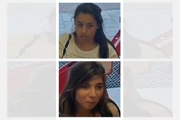 Gezocht: Sluwe dievegges stelen van bejaard echtpaar