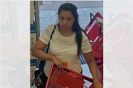 Gezocht: Sluwe dievegges stelen van bejaard echtpaar