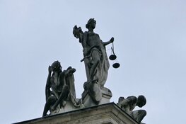Dertien jaar cel geëist na brute verkrachtingen