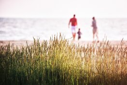Tot woensdag wisselvallig, daarna rustig zomerweer