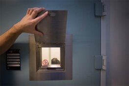 Zendmastbranden Veldhoven: cel- en taakstraf geëest tegen verdachte