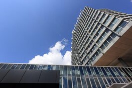 Top 5 beste bedrijven omgeving Eindhoven volgens Trustoo