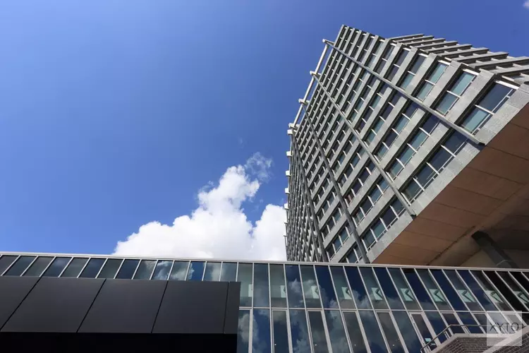 Top 5 beste bedrijven omgeving Eindhoven volgens Trustoo