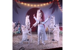 Circus Bolalou komt naar Eindhoven