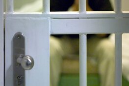 Verdachte opgepakt voor zedenmisdrijf in Bladel
