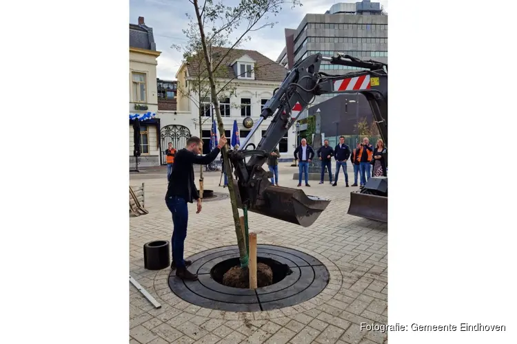 Eerste nieuwe bomen in de binnenstad