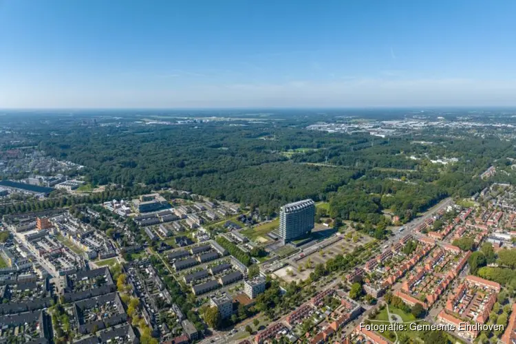 Stadsbos: een levendige plek met ruimte voor rust en natuur