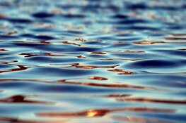 Zwemmen in open water: waar moet je rekening mee houden?