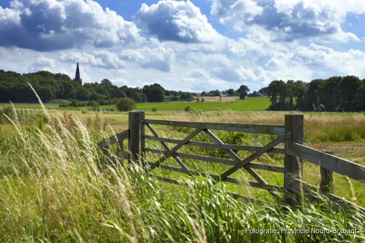 Brabant versnelt vijf natuurprojecten