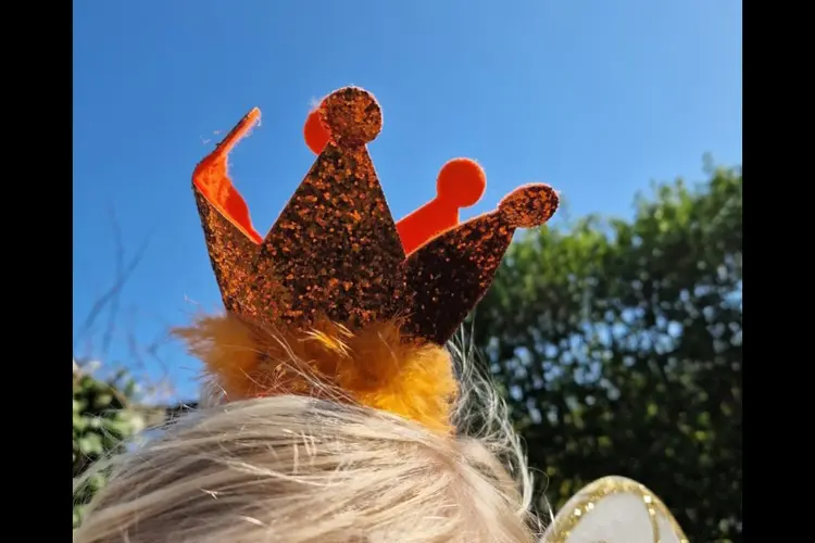 Koningsnacht en Koningsdag in Eindhoven