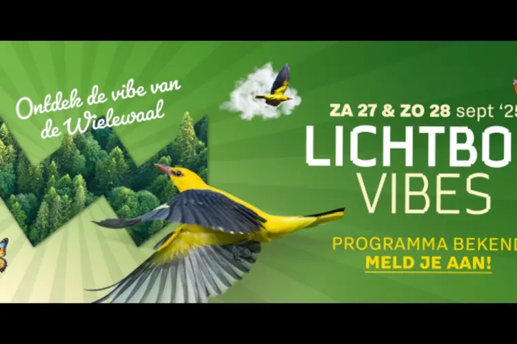 Programma Lichtbos Vibes bekend