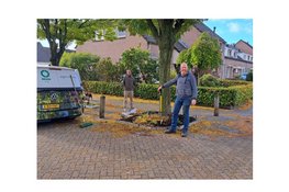 Eindhoven vergroent samen met bewoners: Adopteer een Straat brengt buurten in beweging