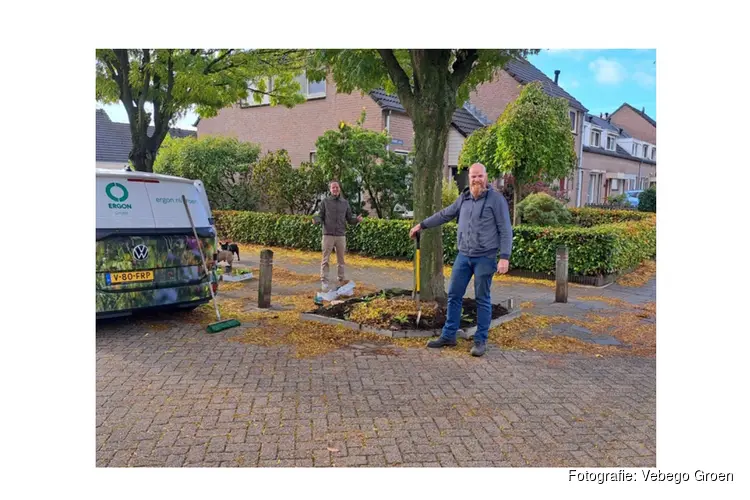 Eindhoven vergroent samen met bewoners: Adopteer een Straat brengt buurten in beweging