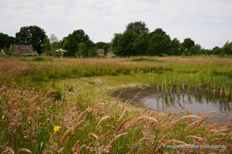 Succesvolle subsidieregeling landschapselementen voor particulieren en agrariërs verlengd