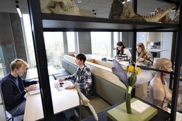 Montessori College Eindhoven neemt vernieuwde schoolgebouw in gebruik