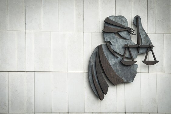 Taakstraffen geëist voor dodelijk ongeval met hamer