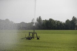 Provincie Noord-Brabant zet koers naar toekomstbestendig grondwatergebruik