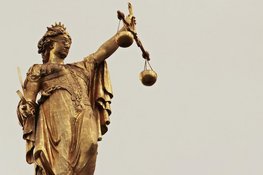 Zes jaar cel geëist tegen man uit Best voor mishandelen en neersteken ex-partner