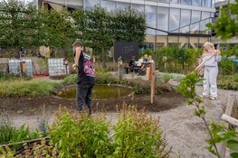 25 scholen starten dit jaar met een groen en klimaatbestendig schoolplein